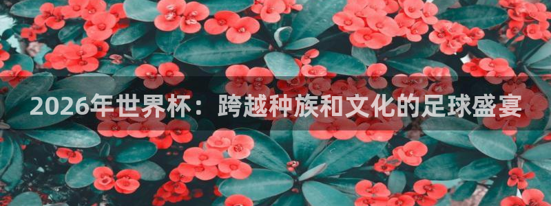 法国杯2026赛程表:2026年世界杯:跨越种族和文化的足球盛宴
