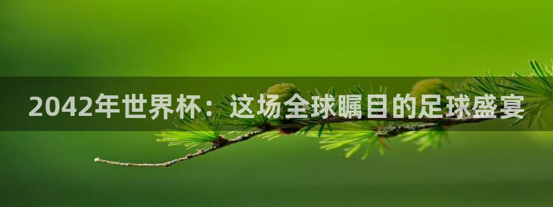 2026世界杯赛程表完整版:2042年世界杯:这场全球瞩目的足球盛宴