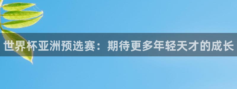 欧洲区世界杯预选赛:世界杯亚洲预选赛:期待更多年轻天才的成长