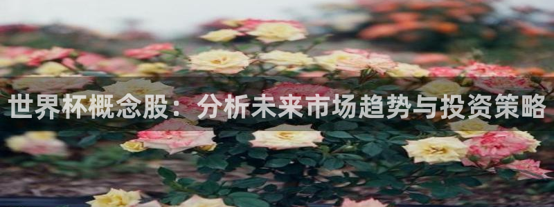 2026年世界杯对阵图:世界杯概念股:分析未来市场趋势与投资策略