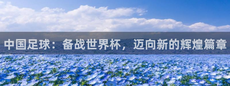 世界杯足球直播:中国足球:备战世界杯,迈向新的辉煌篇章