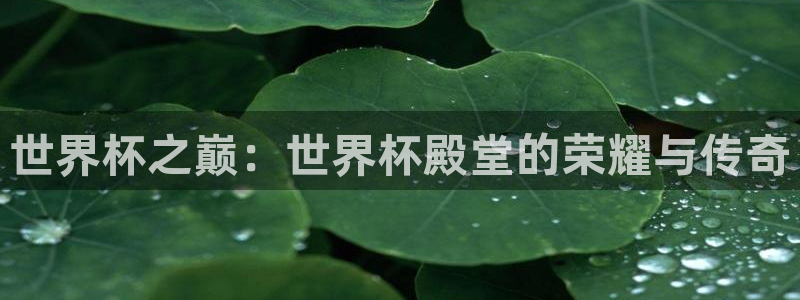 世界杯赛程表:世界杯之巅:世界杯殿堂的荣耀与传奇