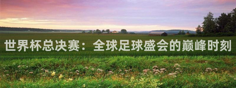 世界杯 中国:世界杯总决赛:全球足球盛会的巅峰时刻