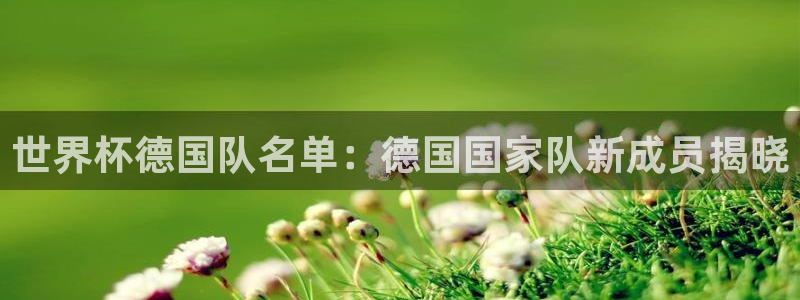 世俱杯直播:世界杯德国队名单:德国国家队新成员揭晓