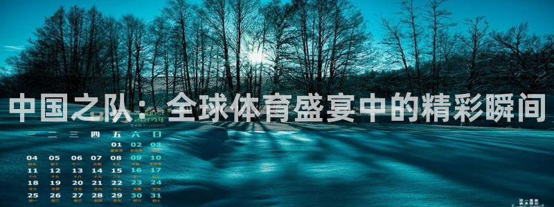 世预赛直播:中国之队:全球体育盛宴中的精彩瞬间
