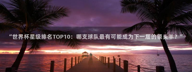 2026世界杯官网:“世界杯星级排名TOP10:哪支球队最有可能成为下一届的领头羊?”